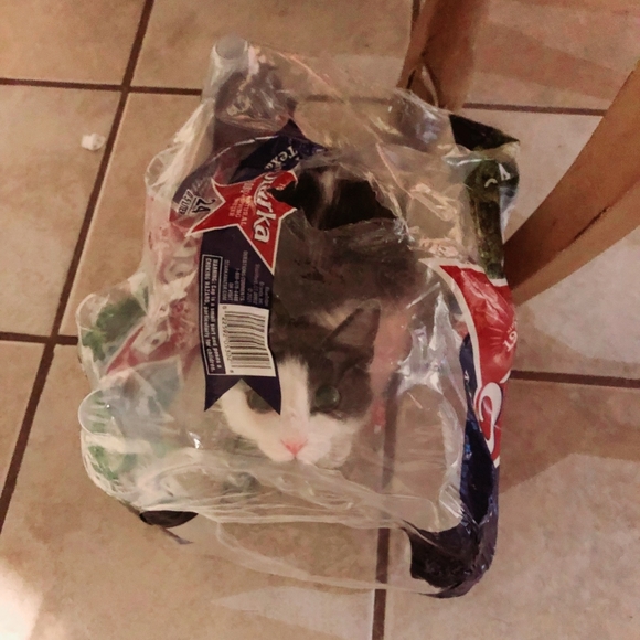 Keep an 👁 4 Sales! - Picture 6 of 8